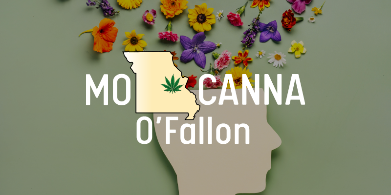 an abstract image of a head with flowers growing out the top of it