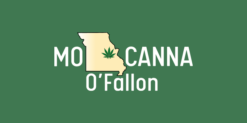 what to know before visiting cannabis store