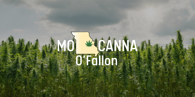 Contact MO Canna O'Fallon to learn how to choose and support sustainable, eco-friendly cannabis brands today!